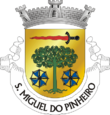 Vlag van São Miguel do Pinheiro