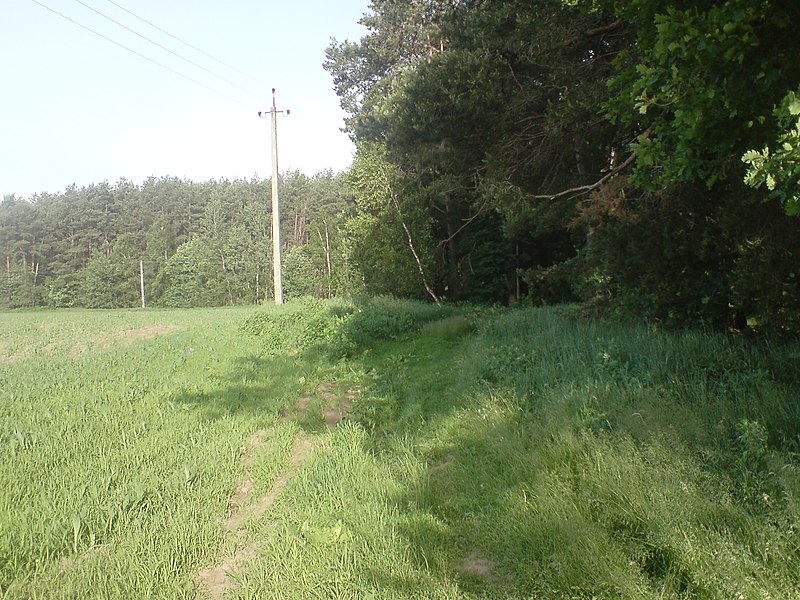 File:Mahilyow District, Belarus - panoramio (26).jpg