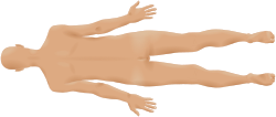 Male back 3d-shaded human illustration lying