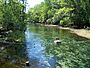 Manatee Springs State Park Florida outlet05.jpg