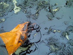 A worker's glove touches a dense patch of black oil on a sandy beach.