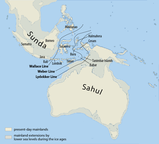 Vermoedelijke uitgestrektheid van het subcontinent Sahoel, 18.000 jaar geleden, bij een zeeniveau dat 150 meter lager was dan heden