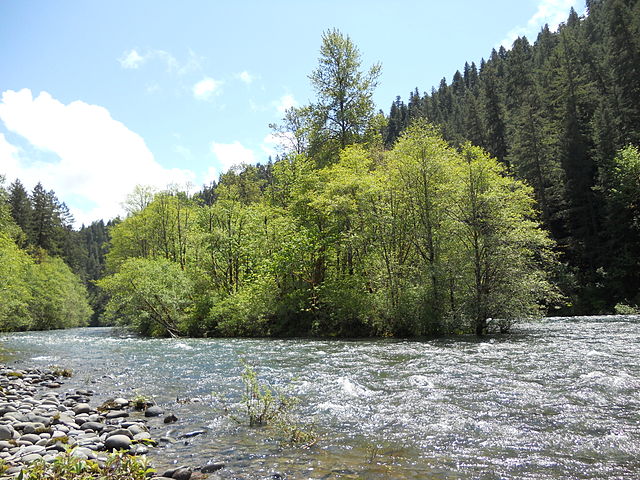 An island in the upper McKenzie