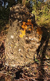 Menhir von der Furt der Touche