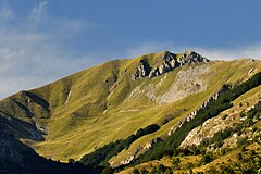 Monte Pozzoni