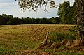 Motte van het oud kasteel van Boutersem. - 255893 - onroerenderfgoed.jpg