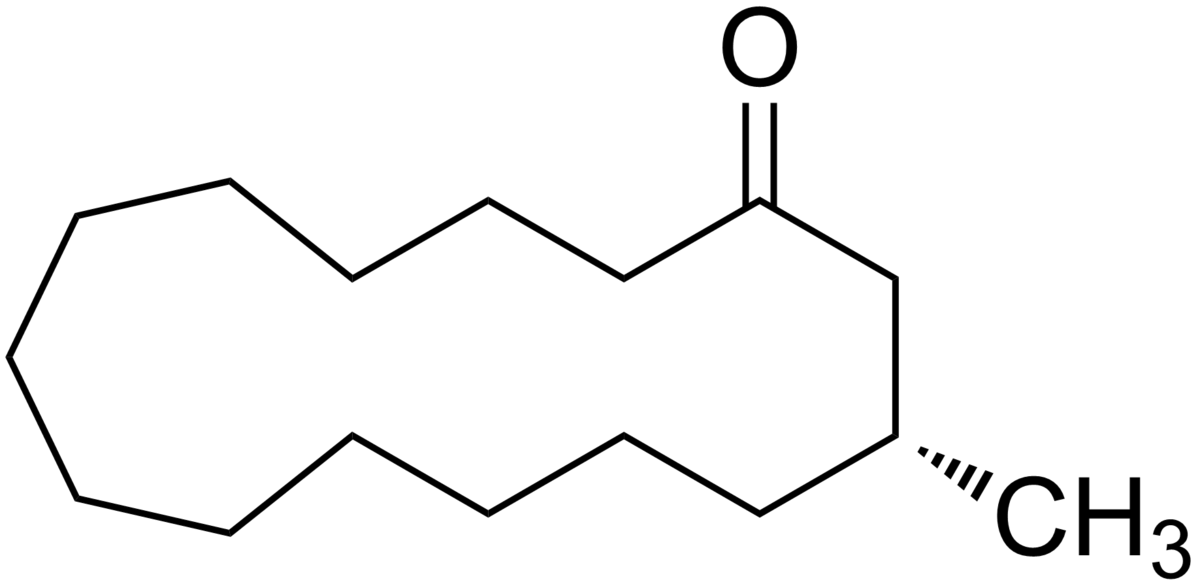 formula m chemical Wikipedia Muscone