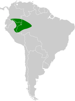 Distribución geográfica del hormiguero pizarroso.