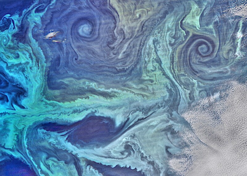 File:NASA satellite view of Southern Ocean phytoplankton bloom (crop).jpg