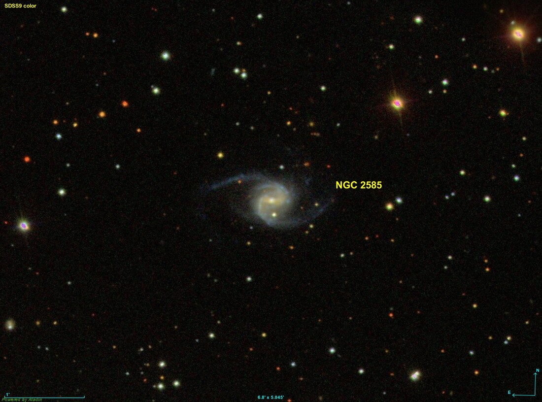 NGC 2585