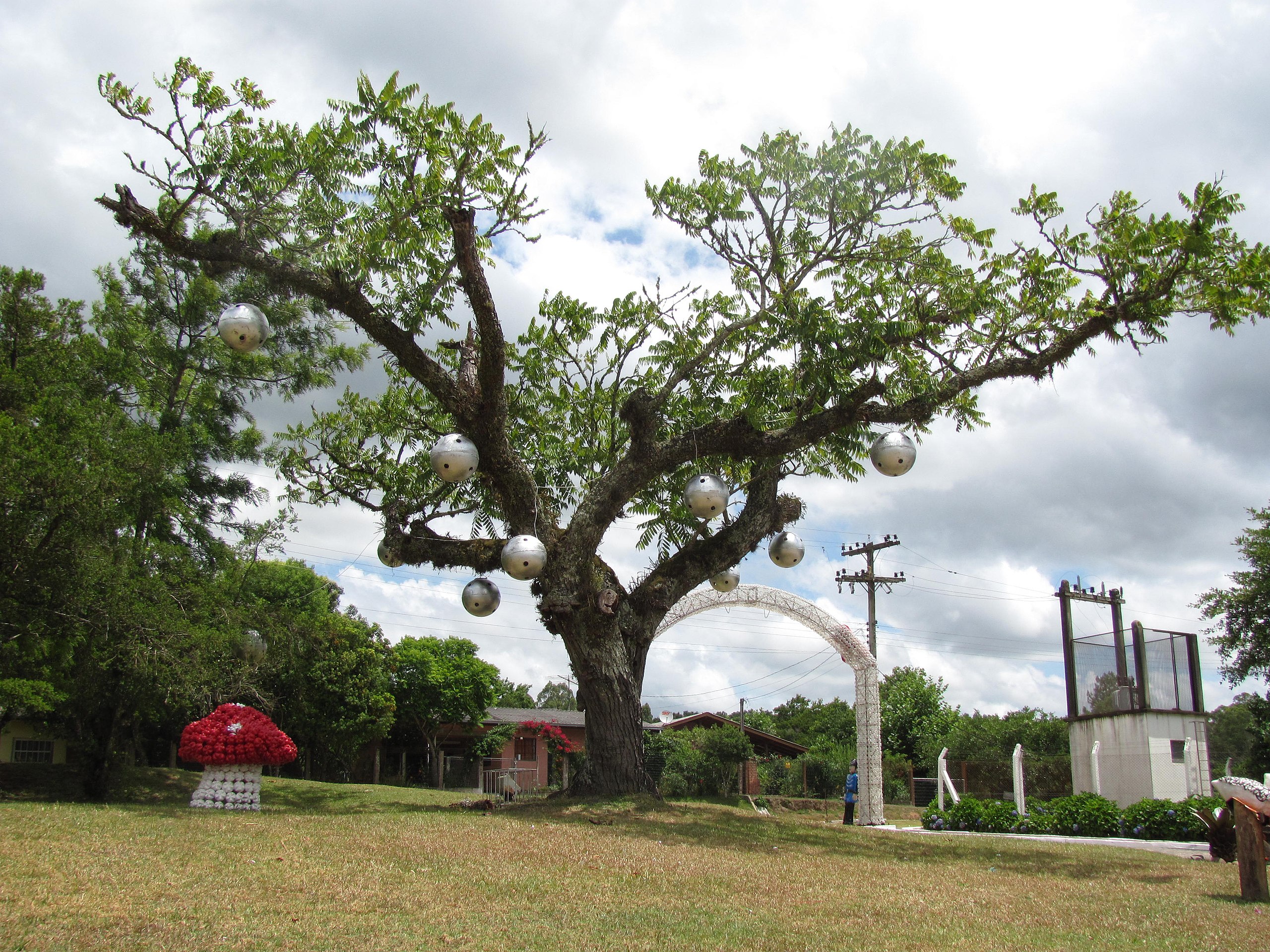 Natal Luz - Wikipedia