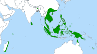 Phân bố toàn cầu của chi Nepenthes.
