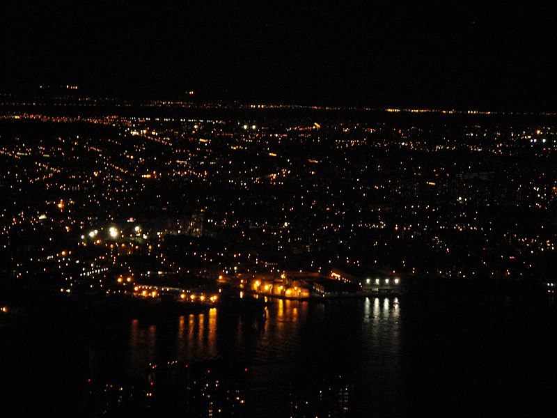 File:Night view from Empire State Building observatory in Manhattan, New York City, United States (9891365634).jpg