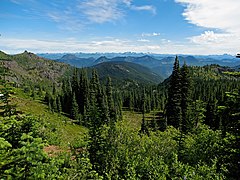 Las narodowy Mount Baker-Snoqualmie