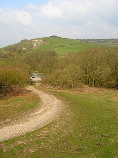 <span class="mw-page-title-main">Newtimber</span> Human settlement in England