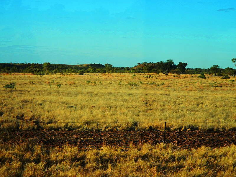 File:North Queensland Outback Scenery from the Inlander - panoramio (11).jpg