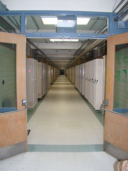 File:Old MERHS Main Hallway.jpg