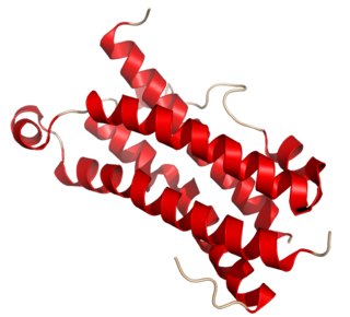 <span class="mw-page-title-main">Oncostatin M</span> Mammalian protein found in Homo sapiens