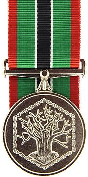 Thumbnail for Operational Medal for Southern Africa