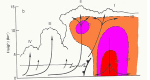 Thunderstorm - Wikipedia