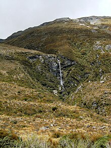 Otira Gorge, type locality of T. protochlora. Otira Gorge - After Waterfall.jpg