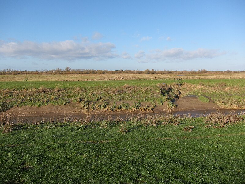 File:Ouse Washes - geograph.org.uk - 2731926.jpg