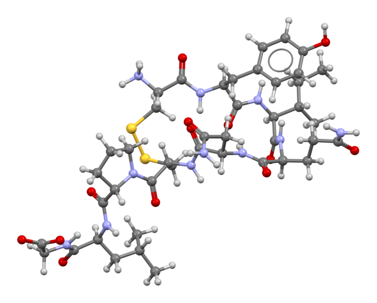 File:Oxytocin-from-NMR-soln-3D-bs-17.png