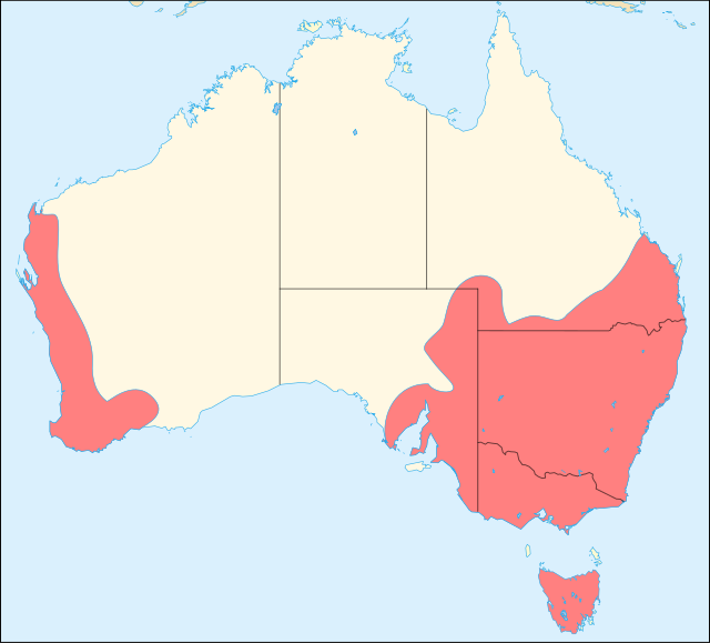 Description de l'image Oxyura australis distribution map.svg.