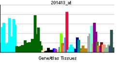 PBB GE HSD17B4 201413 ĉe tn.png