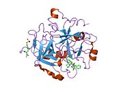 PDB 1h8i EBI.jpg