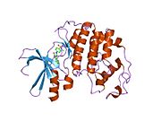 PDB 1ke5 EBI.jpg