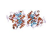 1mu9: Crystal Structure of a Human Tyrosyl-DNA Phosphodiesterase (Tdp1)-Vanadate Complex