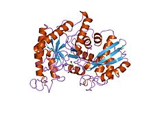 PDB 1pdz EBI.jpg