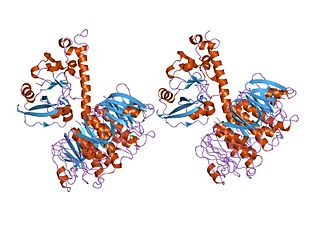 Heat-labile enterotoxin family Family of toxic protein complexes