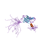 PDB 1x5m EBI.png