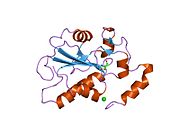 PDB 1ym9 EBI.jpg