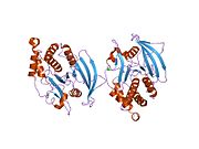 PDB 2cm3 EBI.jpg