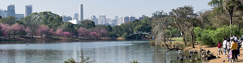 São Paulo: Historia, Economía, Urbanización