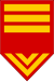 Paraguay-Esercito-OR-9b.svg