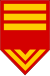 Paraguai-Exército-OR-9b.svg