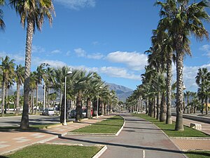 Paseo de Palmeras Playa Granada.JPG