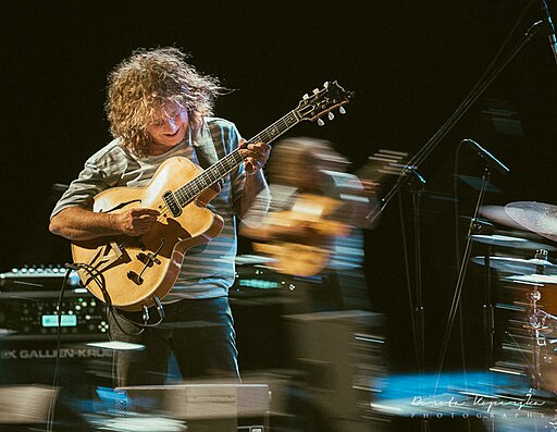 Pat Metheny 2019 03