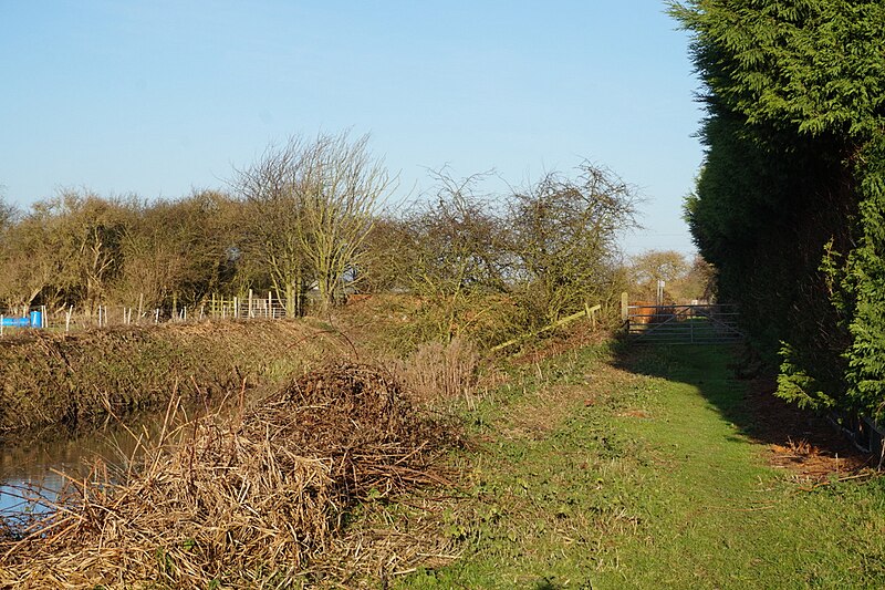 File:Path leading to Skidby Carr Lane (geograph 5235674).jpg