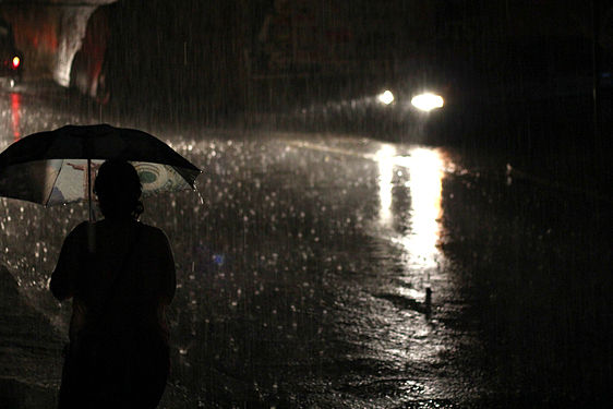 Pedestrian holing umbrella