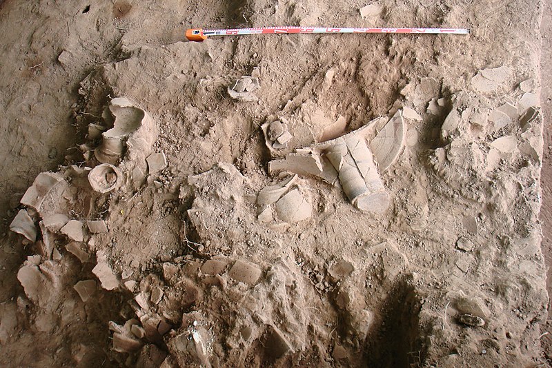 File:Photo of ceramics in excavation unit at An Son.jpg