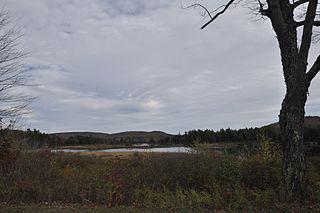 <span class="mw-page-title-main">Pillsbury State Park</span> State park in Sullivan County, New Hampshire