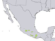 Carte de répartition de Pinus lawsonii.