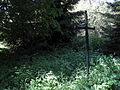 English: Tombstone in the cemetery near Church in the Polana village Polski: Nagrobek przycerkiewny w miejscowości Polana