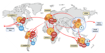 Sars-Cov-2: Historia, Virología, Patogenia en el ser humano