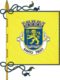 Flag of the Concelhos Santo Tirso